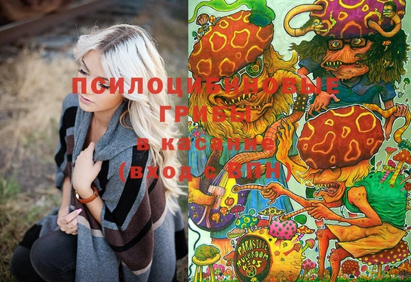 скорость Ельня