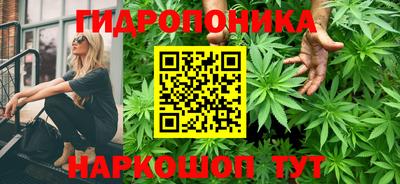 mix Гатчина