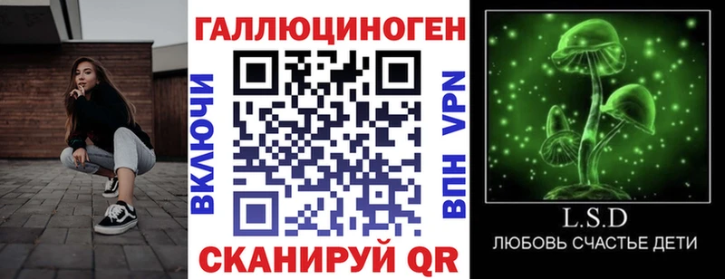 Псилоцибиновые грибы Cubensis  Звенигород 
