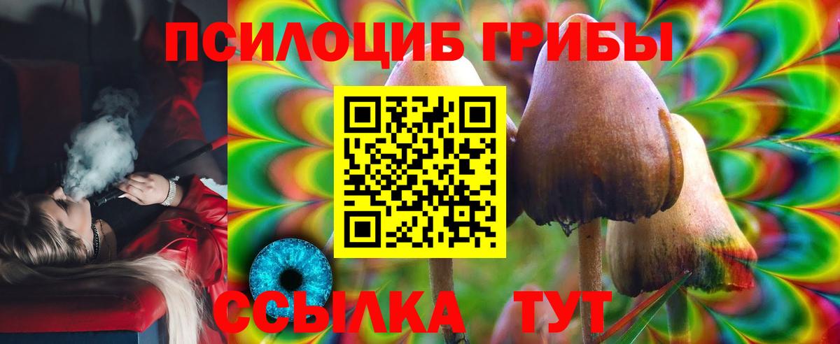 Галлюциногенные грибы Psilocybe  Галлюциногенные грибы Cubensis  Звенигород  Вход с VPN 